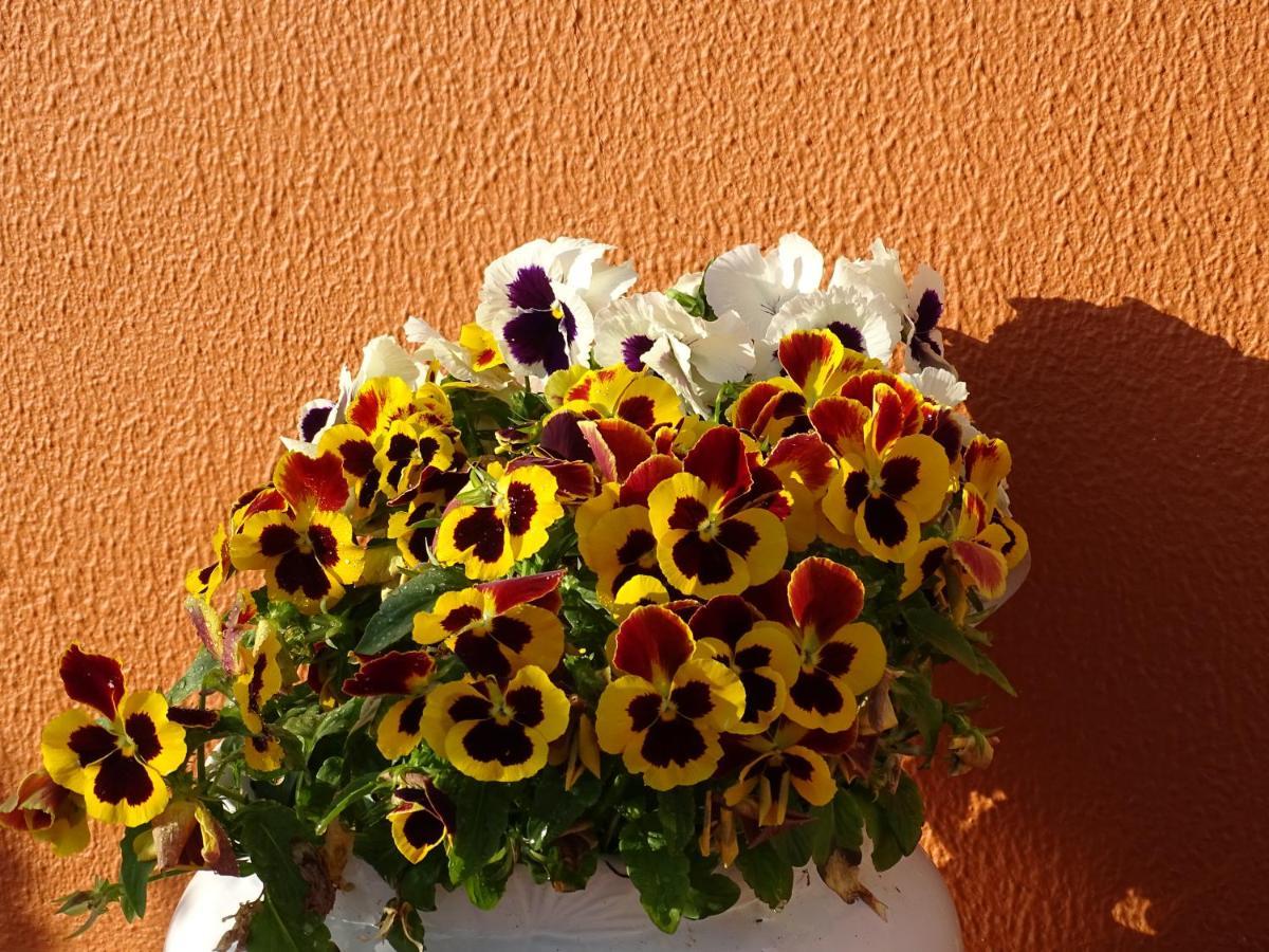 Haus Nunes By Stay In Alentejo Vila Nova de Milfontes Exterior foto